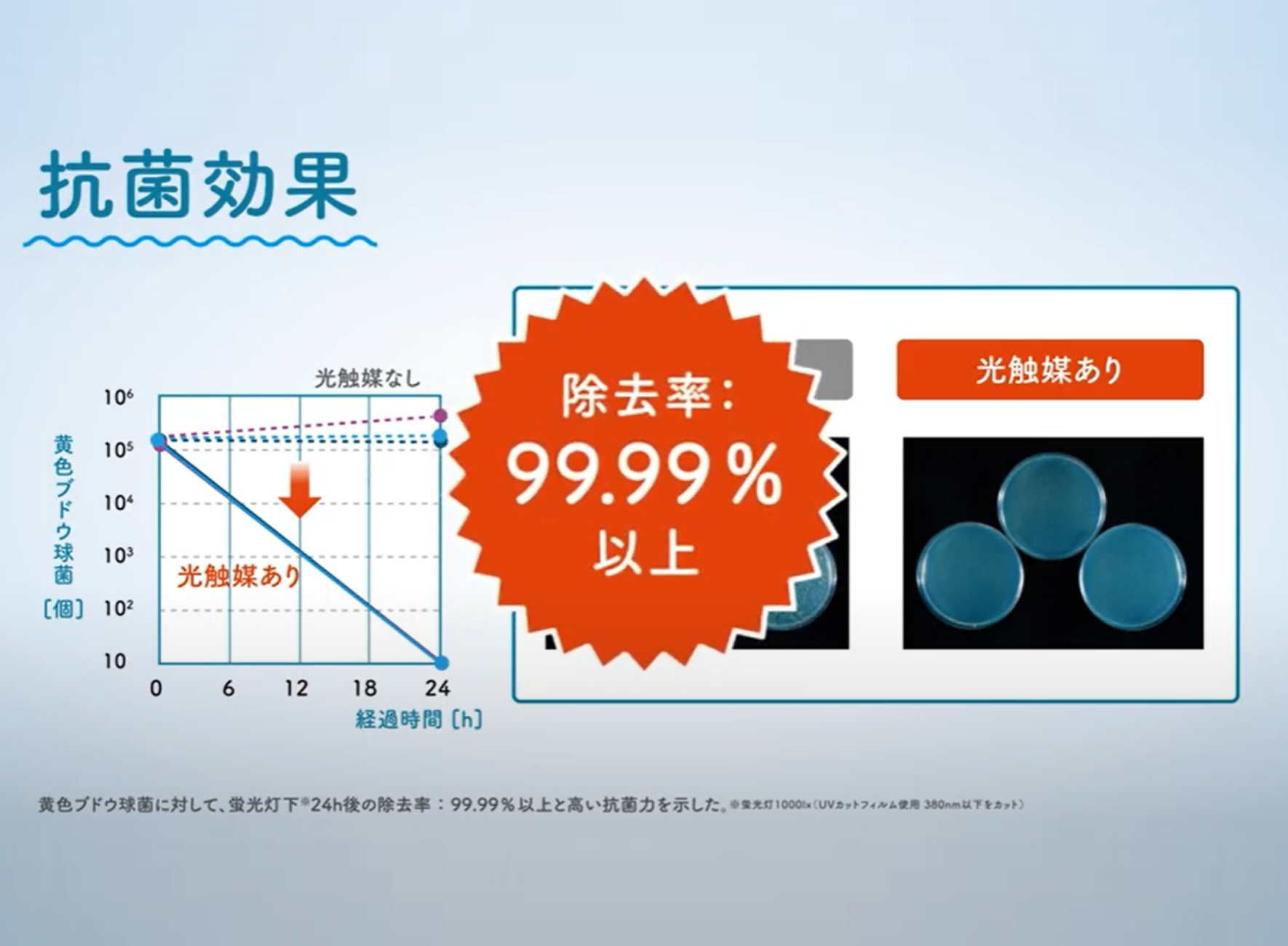 抗菌効果　除去率：99.99％以上